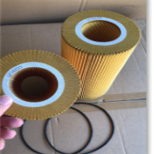 CAR  Filter           OEM: 1643070  Outer Diameter : 113 mm  Inner Diameter : 56 mm  Height : 220 mm