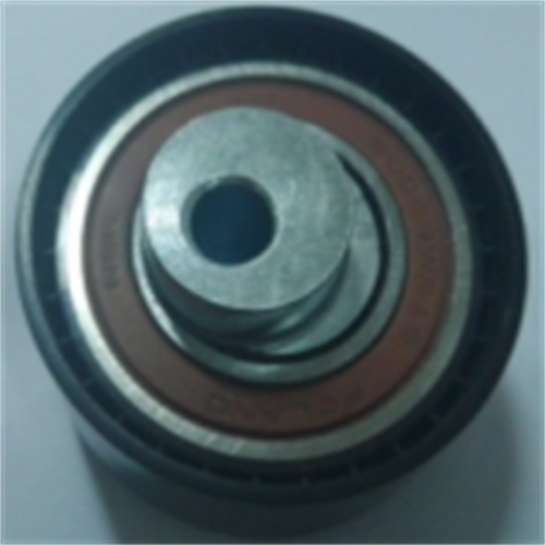 Tensioner  bearing  OEM:INA F-559775 406-1308080 531075910 for Golgi