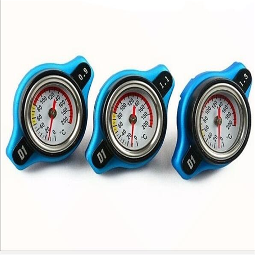 D1 radiator cap