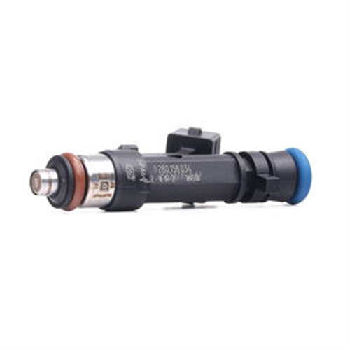 fuel injector OEM  0280158035  0280158034  8200227124  6001548024  For Renault Logan 1.4/1.6,   LADA LARGUS LADA Largus,  Duster, Sandero                                                                       DACIA LOGAN BiFuel 2004>                                DACIA LOGAN MCV (KS_) 1.6 Bifuel 1598 11/2008>  Renault Kangoo Express FW0/1