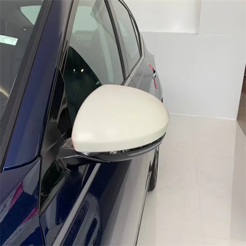 Mirror Cover For Sentra